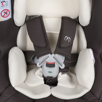 Ailebebe   Kurutto NT2 Premium, группа 0+/1, коричневое