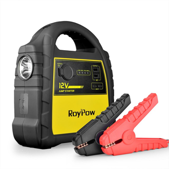 RoyPow J301