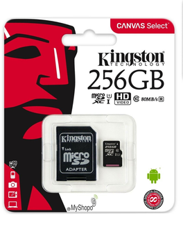 Kingston 256 Gb
