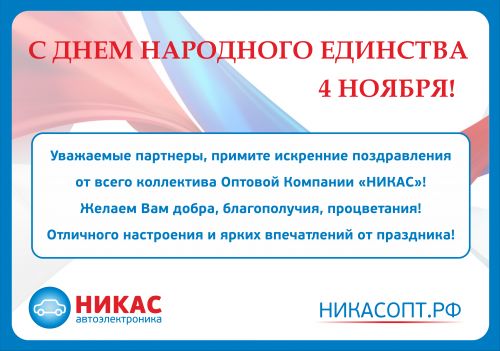 День народного единства 2015 (2)